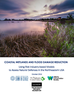 En este informe cuantificamos los beneficios económicos de los humedales costeros en la reducción del daño a la propiedad por las tormentas y inundaciones en EU.  