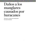Daños a manglares causados por huracanes