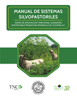 Una alternativa para ayudar a solucionar los problemas ecológicos y de producción causados por la ganadería extensiva son los Sistemas Silvopastoriles (SSP).