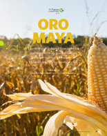 El sistema agrícola maya, ha evolucionado a lo largo de miles de años para generar alta productividad y conservar la salud del suelo